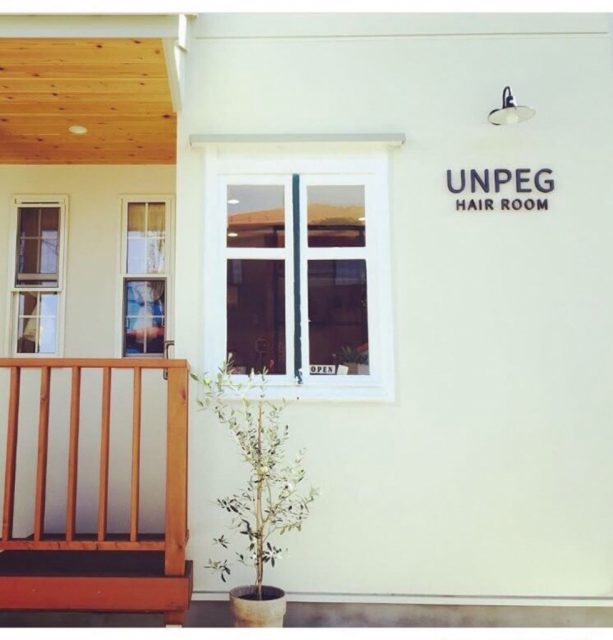 HAIR ROOM UNPEG