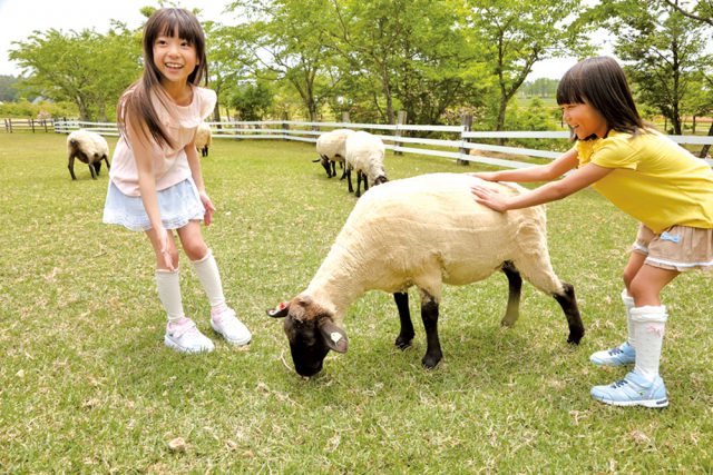 ひるがの高原 牧歌の里