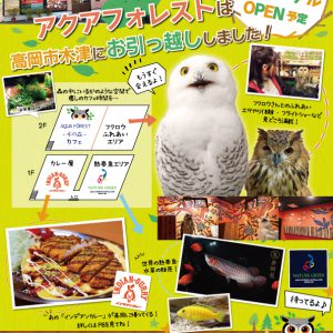 フクロウ・熱帯魚・金沢カレーが一度に味わえるSHOPがオープン!!