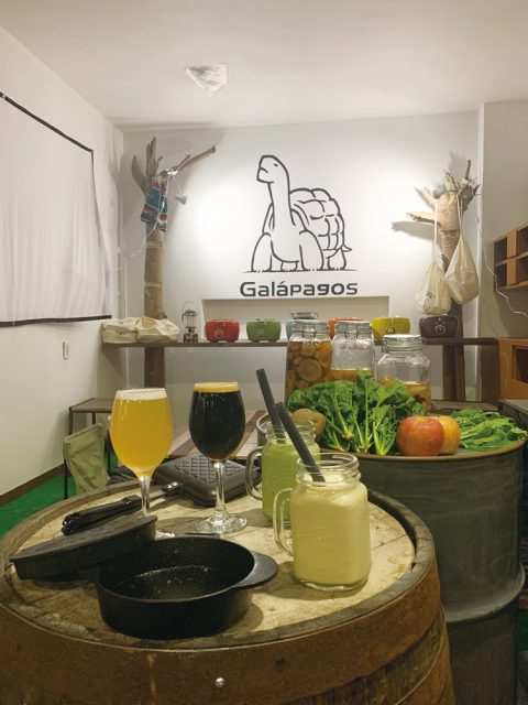 アウトドアバル Galapagos