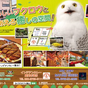 愛らしいフクロウと至福の時間を…。