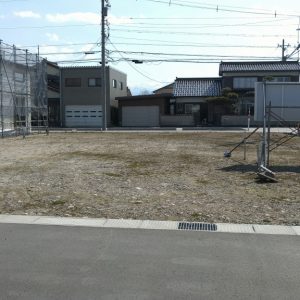大信建設興業株式会社